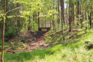 Natuurbegraafplaats Schapenmeer - Vorden Gelderland