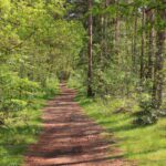 Natuurbegraafplaats Schapenmeer - Vorden Gelderland