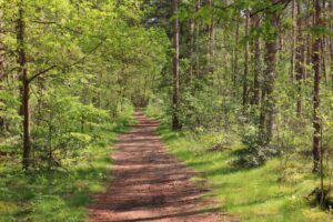 Natuurbegraafplaats Schapenmeer - Vorden Gelderland